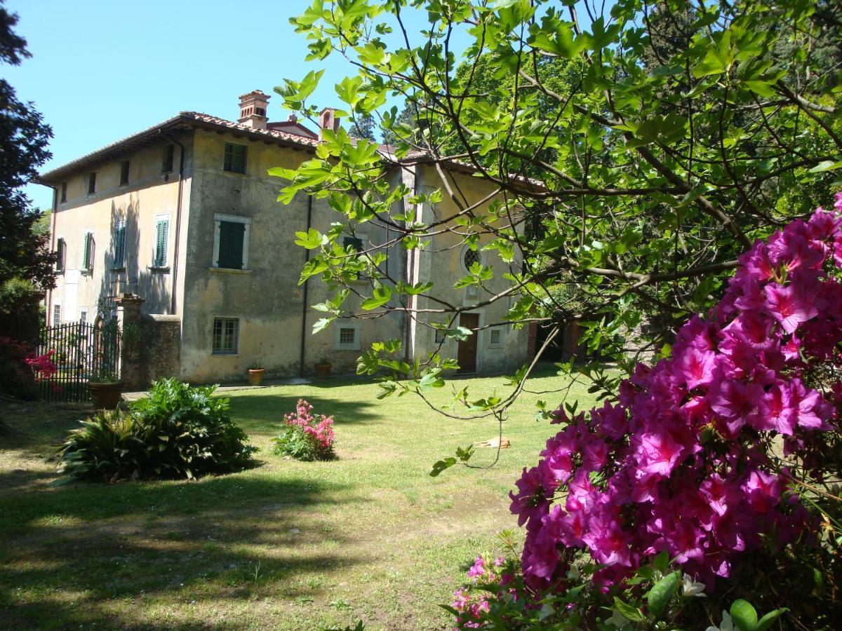 Bed & Breakfast Villa Masini-Luccetti Pietrasanta Bagian luar foto
