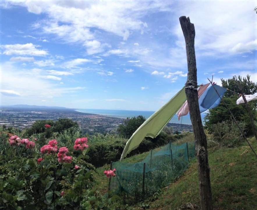 Bed & Breakfast Villa Masini-Luccetti Pietrasanta Bagian luar foto